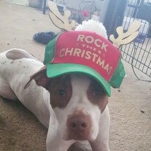 Meet your Posher, Tyson